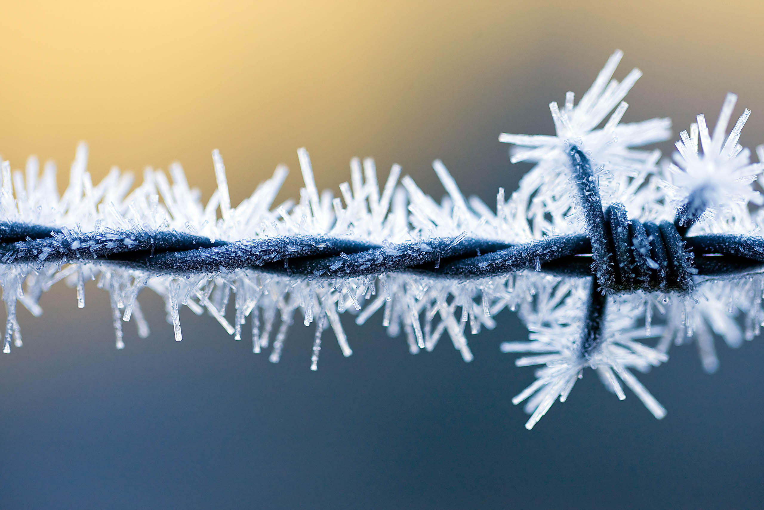 winter