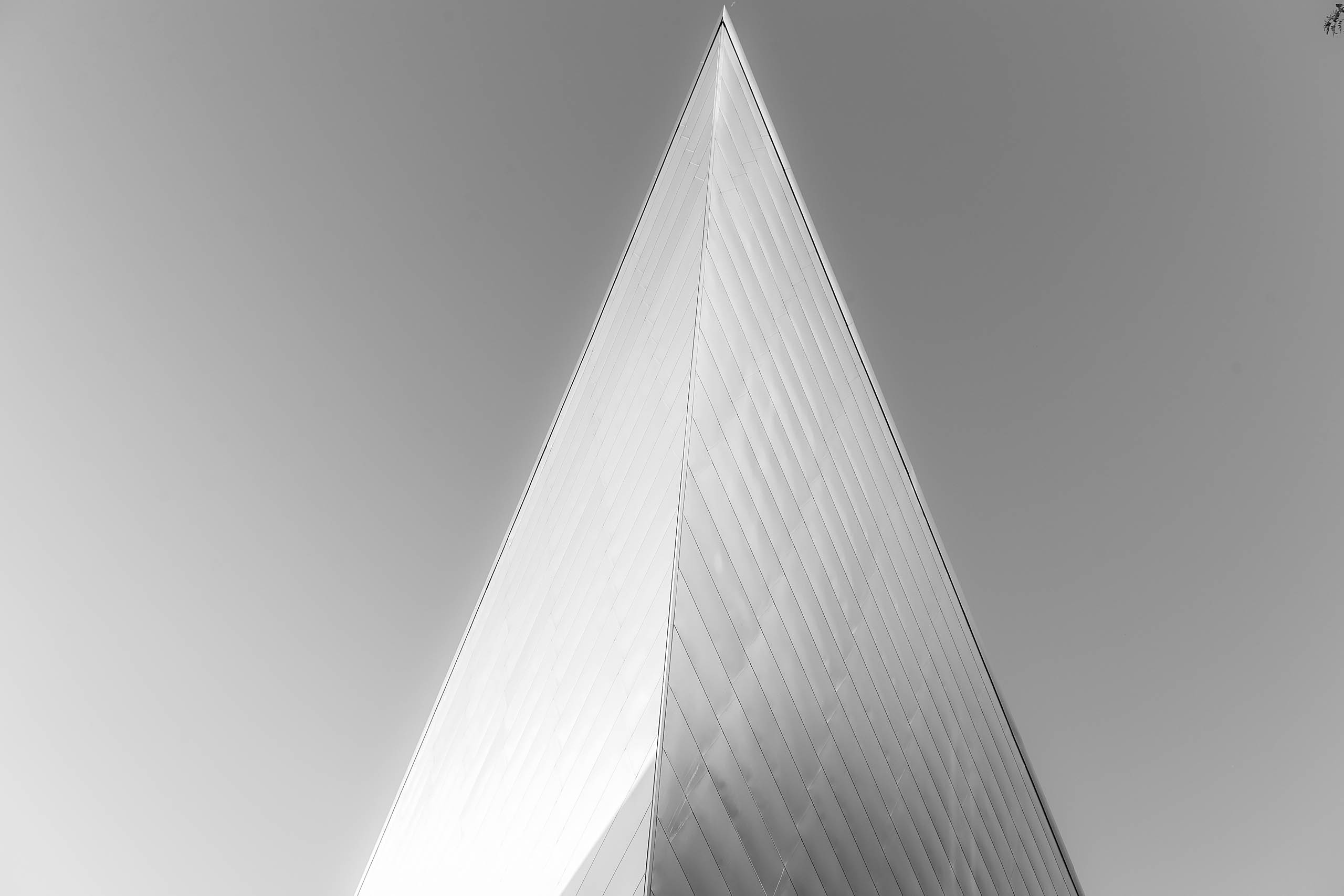 _HAY8519