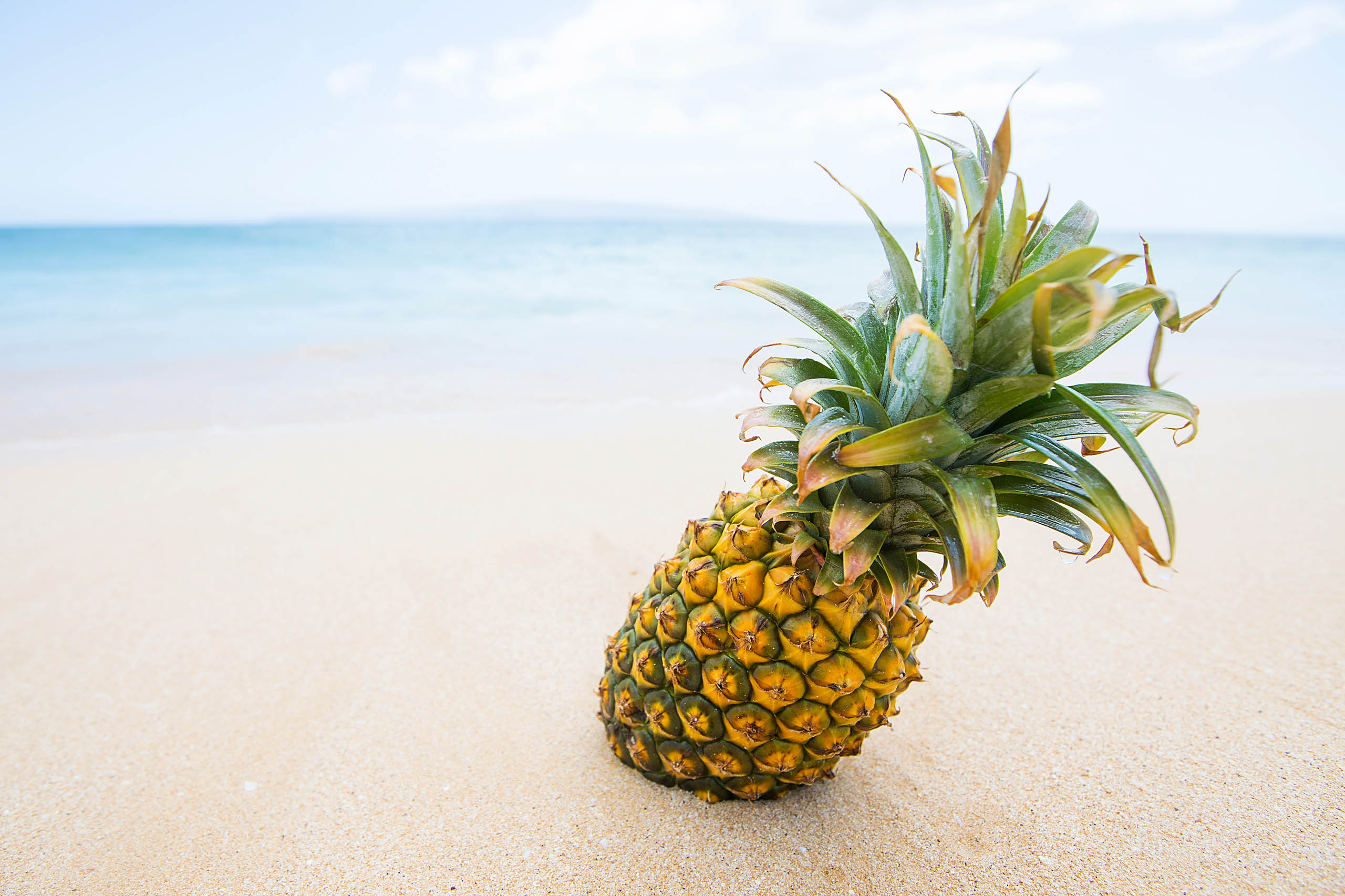 Fresh pineapple fruit on a tropical sandy beach