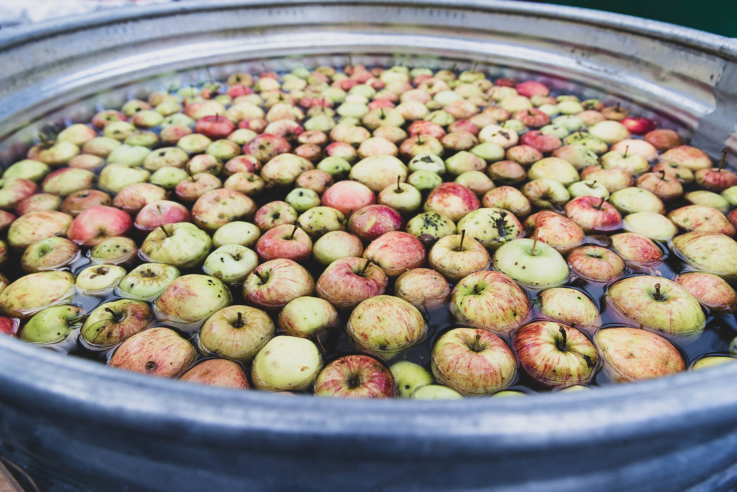 Large tub filled with fresh apples in water