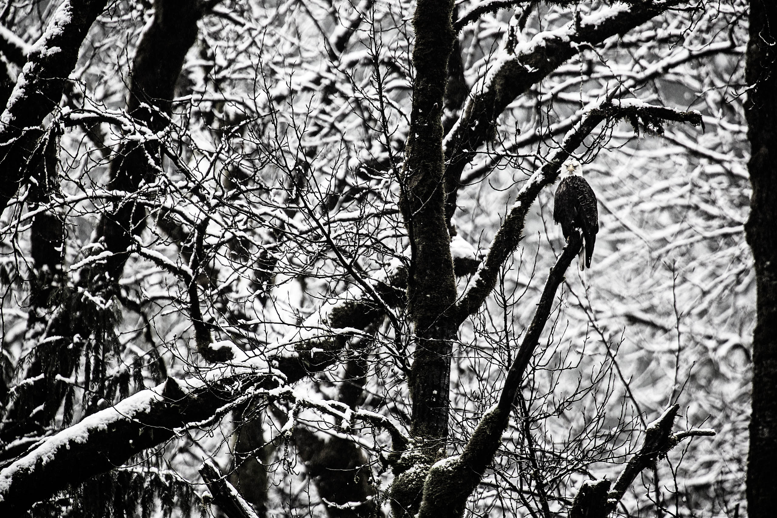 MatHaywardPhoto.com-10820