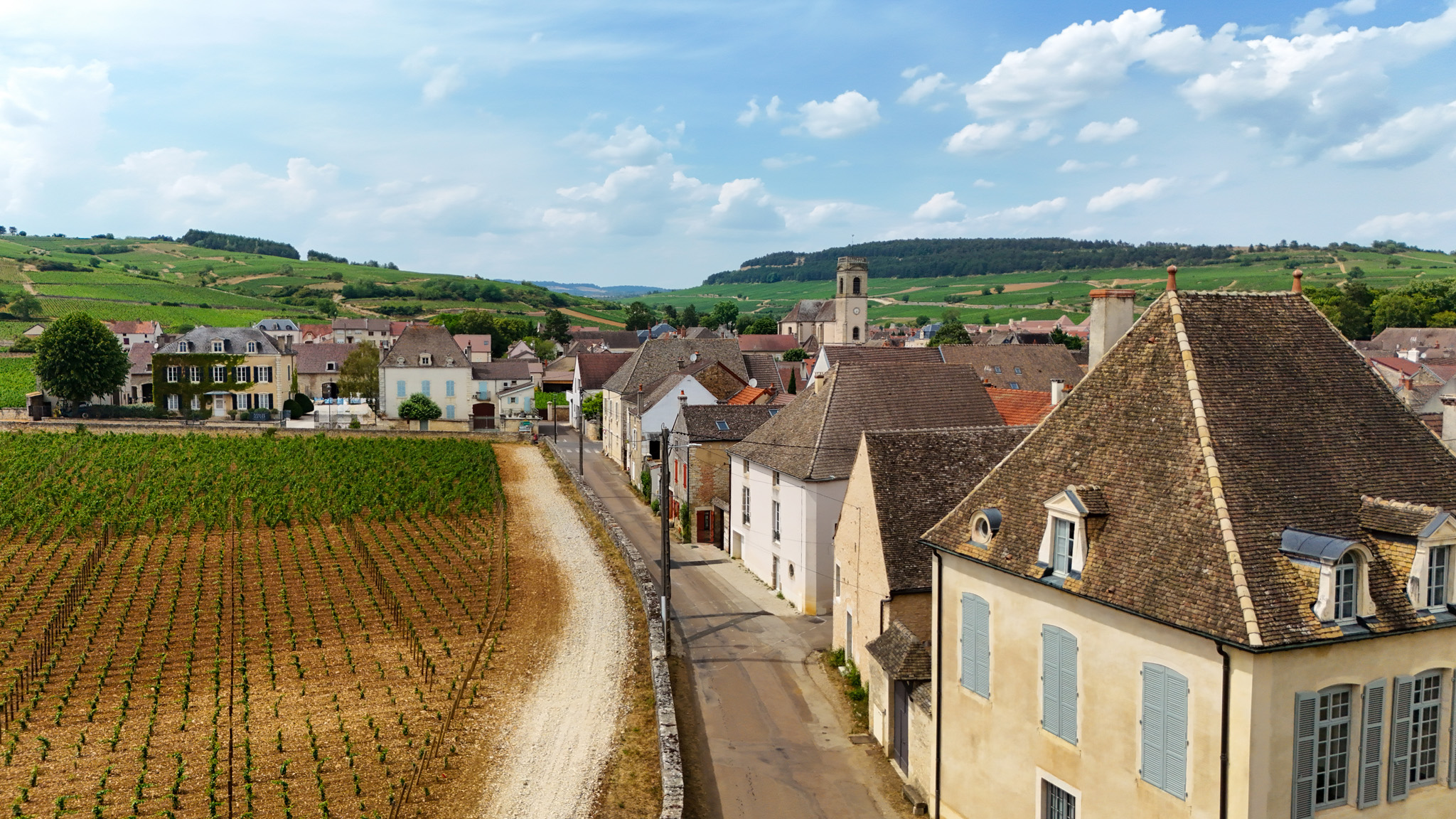 Pommard, Burgundy, France